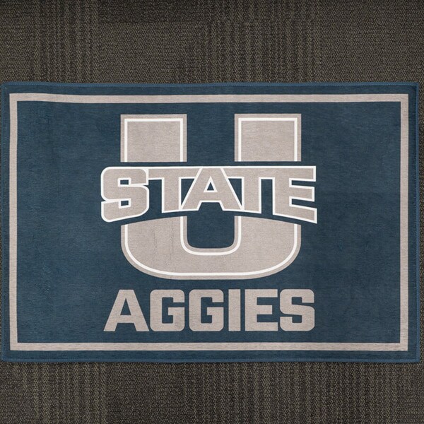 u-state rug 20x30